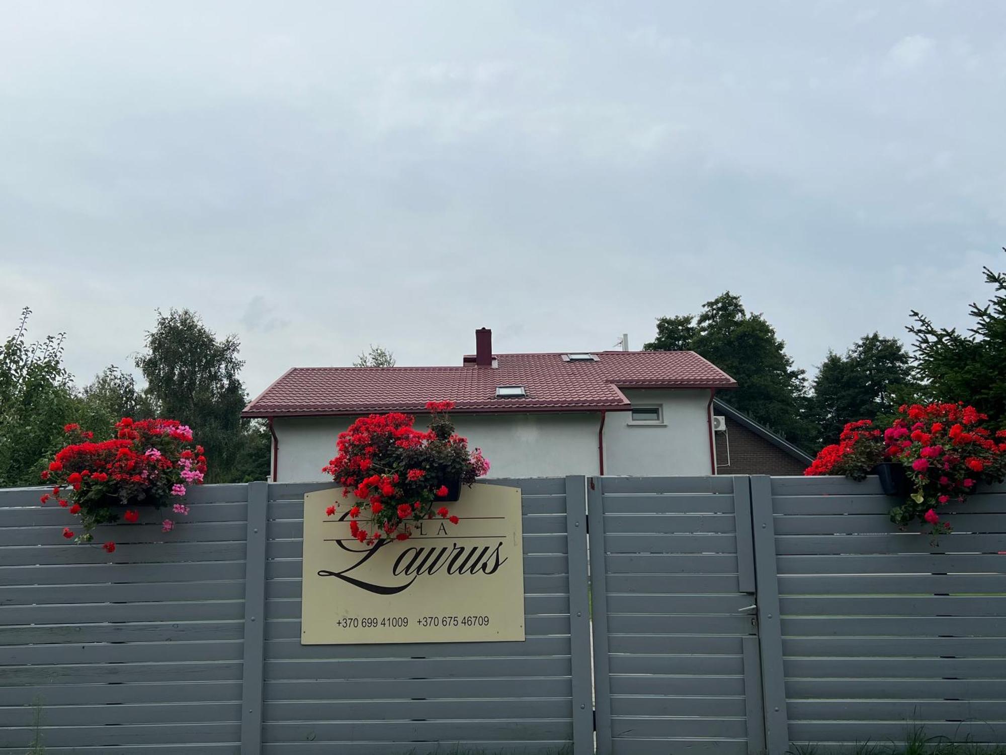 Vila Laurus Παλάγκα Εξωτερικό φωτογραφία